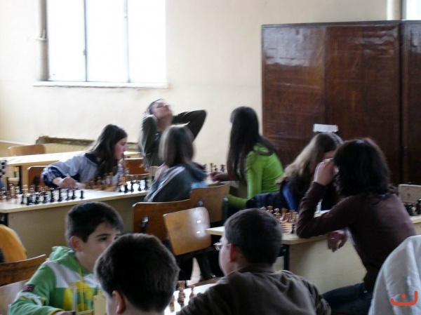 ДИП 2006